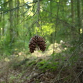 Höchst im Odenwald 17