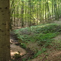 Höchst im Odenwald 18