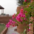 Mandawa-Hotel-06