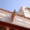 Junagarh-19