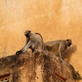 AmerFort-14