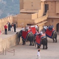 AmerFort-18