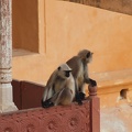 AmerFort-19