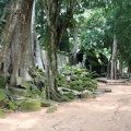 Ta Prohm-07