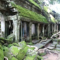 Ta Prohm-10