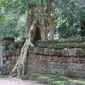 Ta Prohm-11