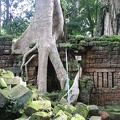 Ta Prohm-18