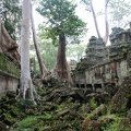 Ta Prohm-17