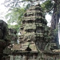 Ta Prohm-16