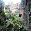 Ta Prohm-19