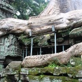 Ta Prohm-25