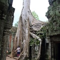 Ta Prohm-26