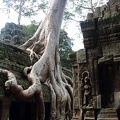 Ta Prohm-33