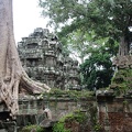 Ta Prohm-36