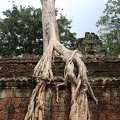 Ta Prohm-35