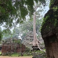 Ta Prohm-37