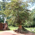 Banteay Srei-02